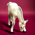 Caballo de porcelana Beswick, elegancia inglesa para coleccionistas - Cositas Antiguas – La Guadaña, Anticuarios Online en Jerez , vender antigüedades, muebles antiguos