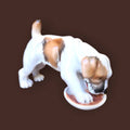 Perro de Porcelana Alemana Limbach Años 50 - Cositas Antiguas – La Guadaña, Anticuarios Online en Jerez , vender antigüedades, muebles antiguos