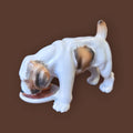 Perro de Porcelana Alemana Limbach Años 50 - Cositas Antiguas – La Guadaña, Anticuarios Online en Jerez , vender antigüedades, muebles antiguos