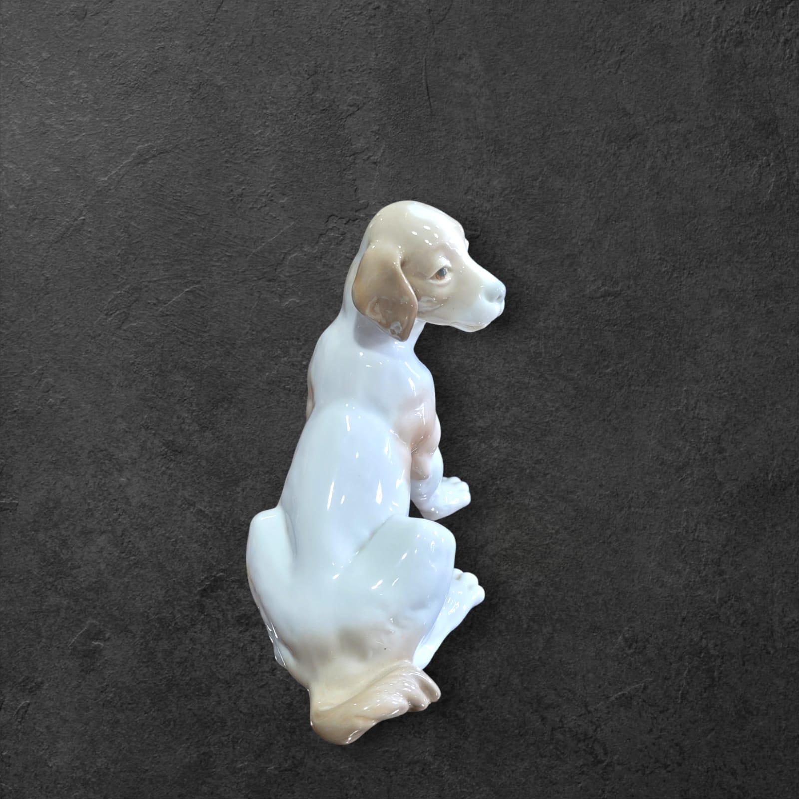 Perro Manchado de Nao Porcelana Fina - Elegancia Tierna - Cositas Antiguas – La Guadaña, Anticuarios Online en Jerez , vender antigüedades, muebles antiguos