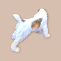 Perro Cocker de Porcelana Alemana – Sello Trébol (Años 50) - Cositas Antiguas – La Guadaña, Anticuarios Online en Jerez , vender antigüedades, muebles antiguos
