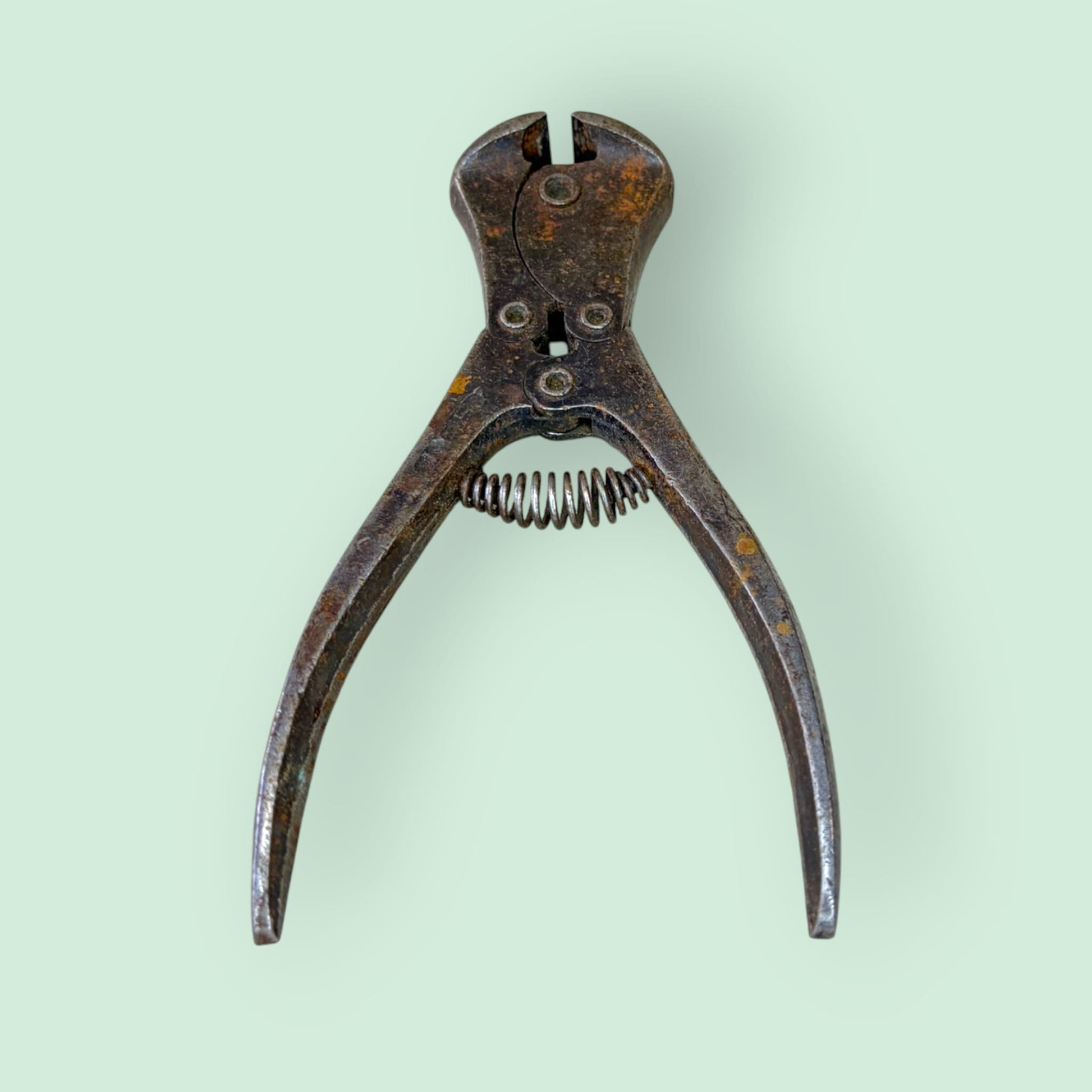 Cizalla antigua de metal de colección - Cositas Antiguas – La Guadaña, Anticuarios Online en Jerez , vender antigüedades, muebles antiguos