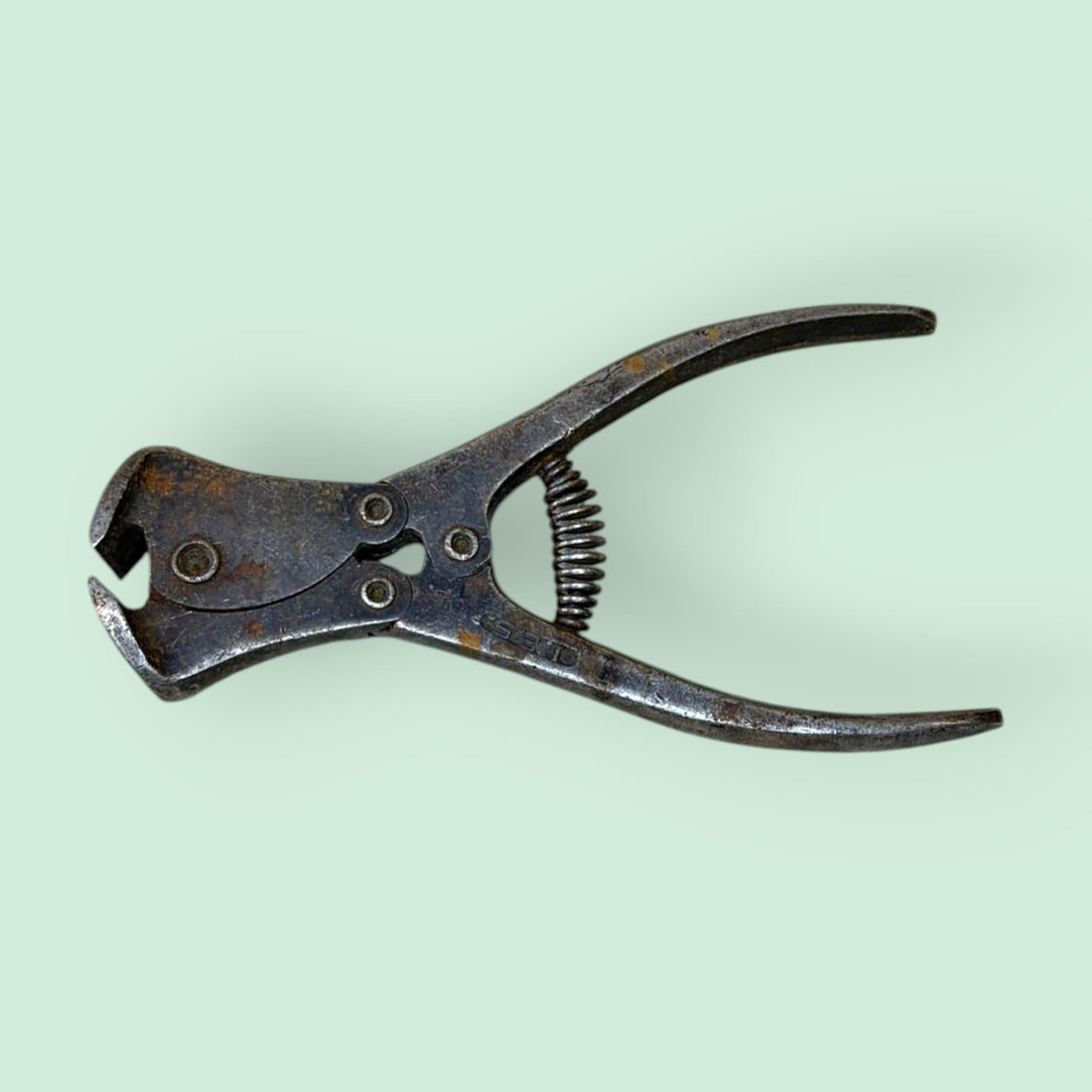 Cizalla antigua de metal de colección - Cositas Antiguas – La Guadaña, Anticuarios Online en Jerez , vender antigüedades, muebles antiguos