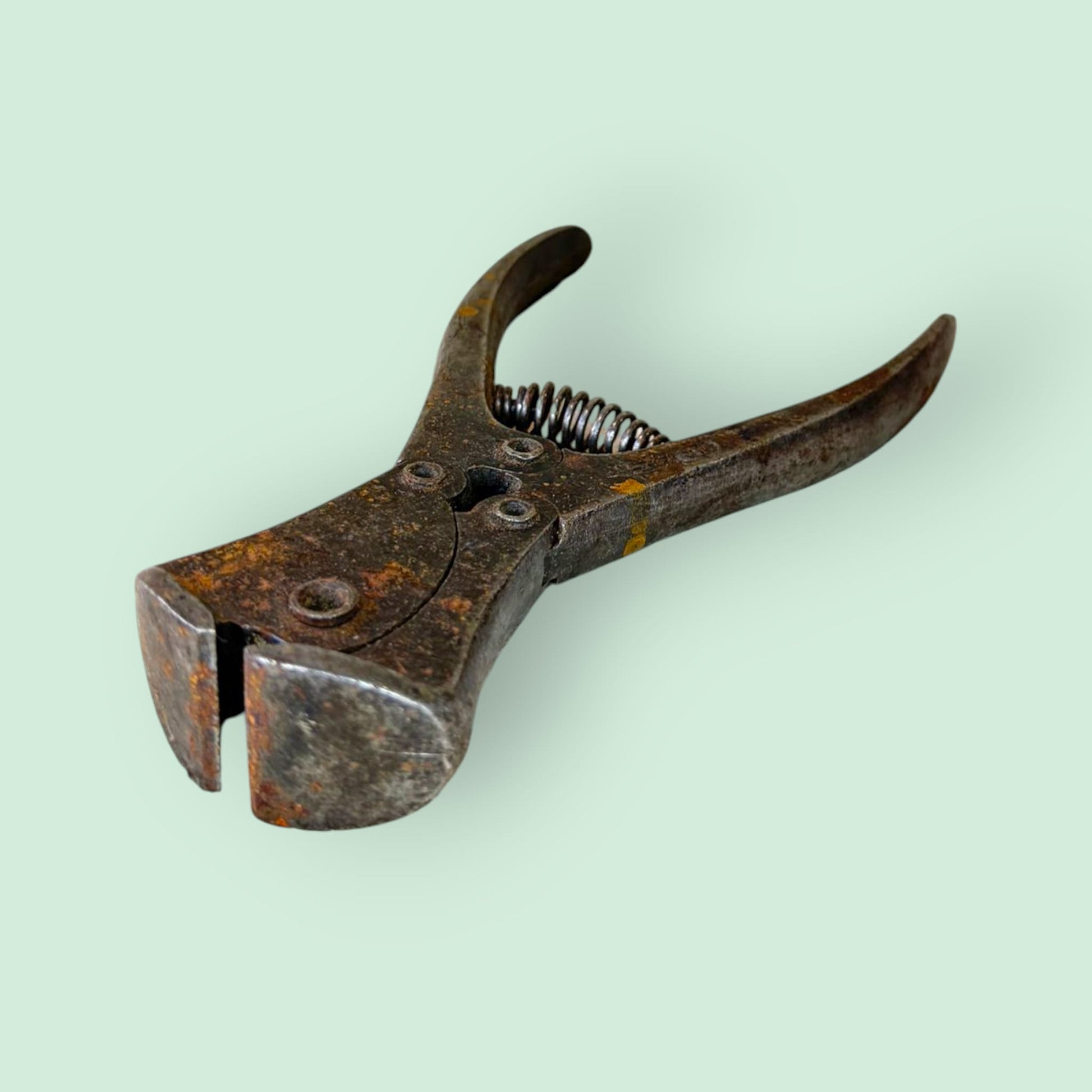 Cizalla antigua de metal de colección - Cositas Antiguas – La Guadaña, Anticuarios Online en Jerez , vender antigüedades, muebles antiguos