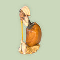 Figura Lladró campesina con patos porcelana antigua - Cositas Antiguas – La Guadaña, Anticuarios Online en Jerez , vender antigüedades, muebles antiguos