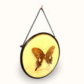 Marco con mariposa decorativa antigua para pared - Cositas Antiguas – La Guadaña, Anticuarios Online en Jerez , vender antigüedades, muebles antiguos