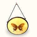 Marco con mariposa decorativa antigua para pared - Cositas Antiguas – La Guadaña, Anticuarios Online en Jerez , vender antigüedades, muebles antiguos