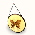 Marco con mariposa decorativa antigua para pared - Cositas Antiguas – La Guadaña, Anticuarios Online en Jerez , vender antigüedades, muebles antiguos