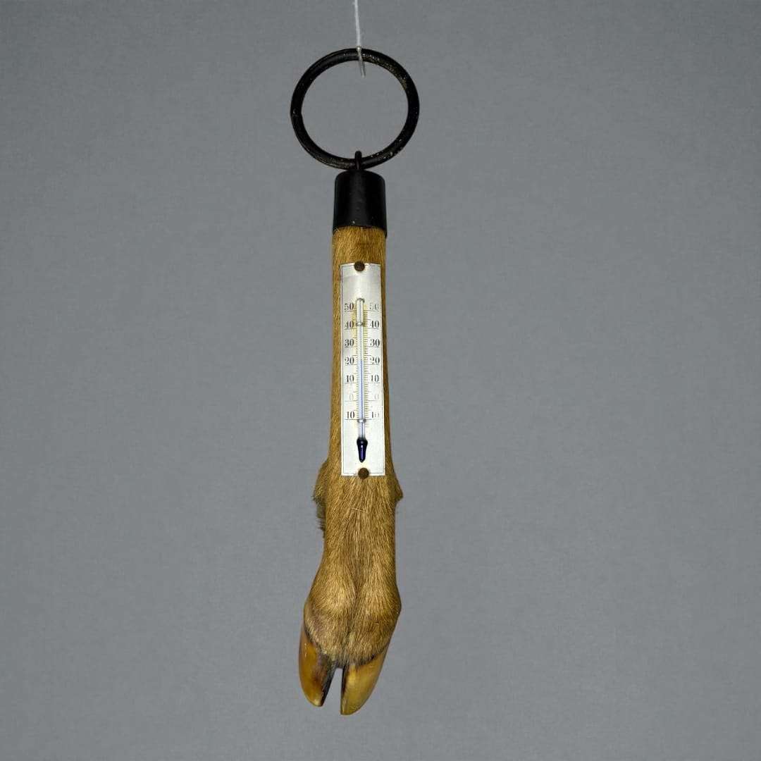 Termometro de pata de ciervo – Rústico, decorativo - Cositas Antiguas – La Guadaña, Anticuarios Online en Jerez , vender antigüedades, muebles antiguos