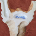 Figura Cocker Spaniel biscuit firmada por C. Martinus - Cositas Antiguas – La Guadaña, Anticuarios Online en Jerez , vender antigüedades, muebles antiguos