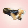 Perro de porcelana Basset Hound esmaltado - Cositas Antiguas – La Guadaña, Anticuarios Online en Jerez , vender antigüedades, muebles antiguos