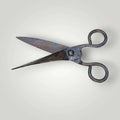 Tijera antigua de pelar bestias | Herramienta rural original - Cositas Antiguas – La Guadaña, Anticuarios Online en Jerez , vender antigüedades, muebles antiguos