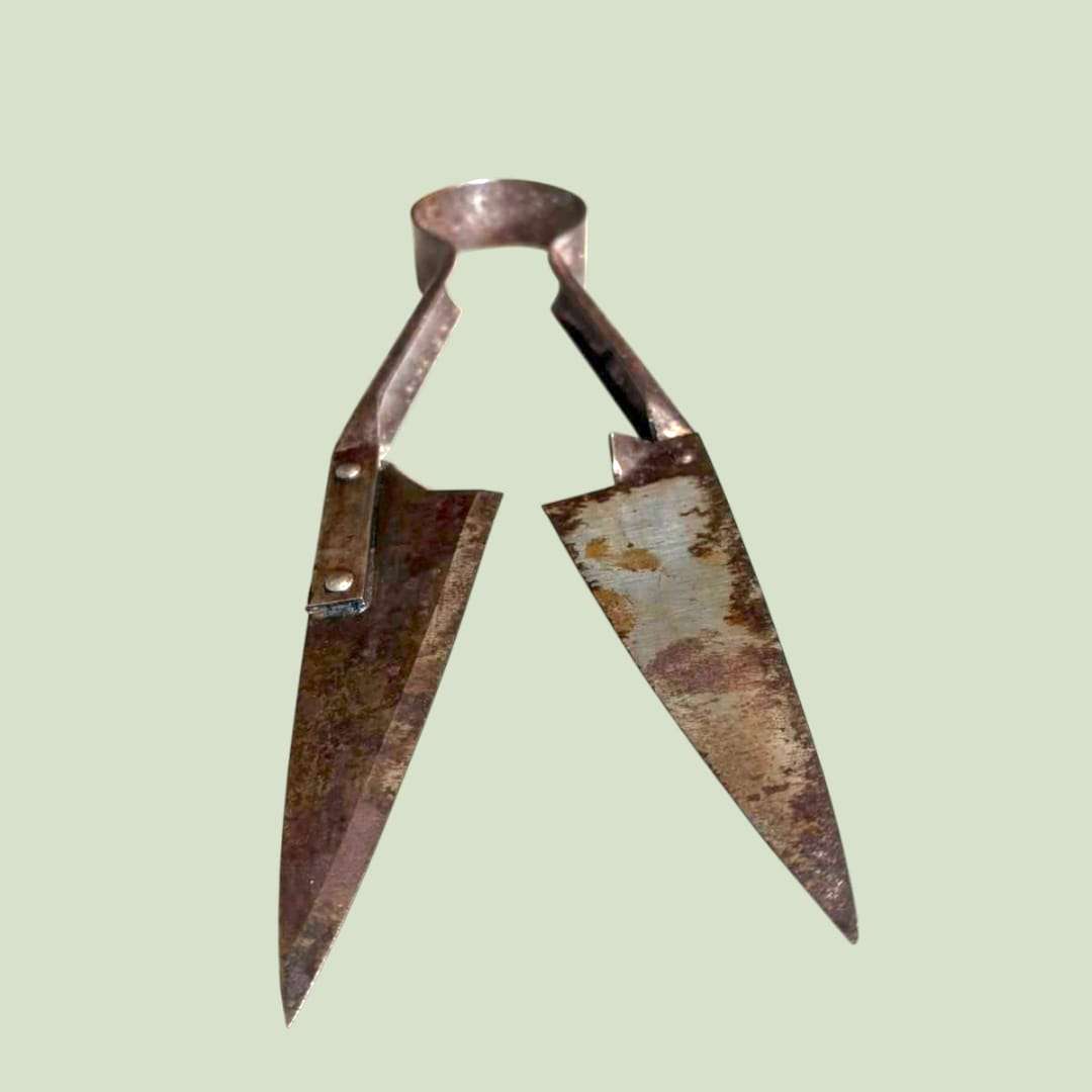 Tijeras de esquilar ovejas antiguas | Calidad profesional - Cositas Antiguas – La Guadaña, Anticuarios Online en Jerez , vender antigüedades, muebles antiguos